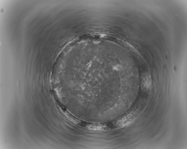 X0000087520661200705041214