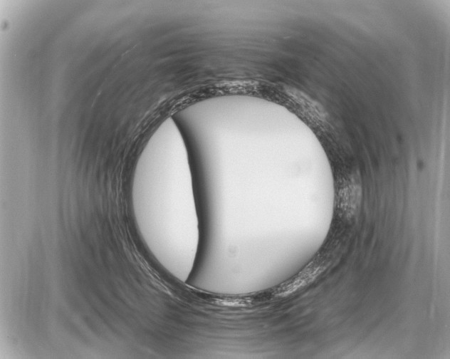 X0000087520662200705041214