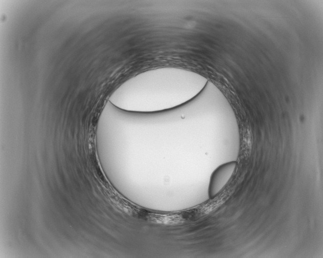 X0000087520663200705041214