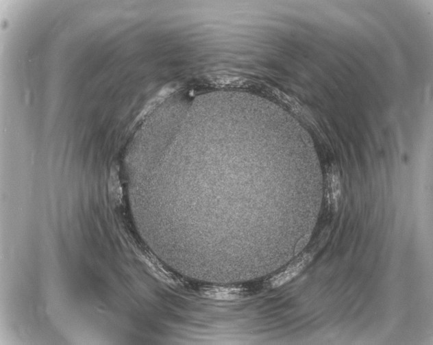 X0000087520664200705041214