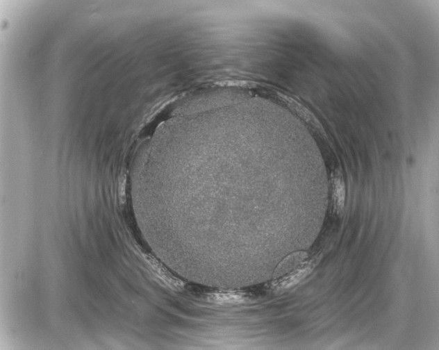 X0000087520668200705041214