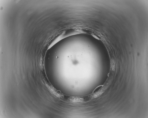 X0000087520670200705041214