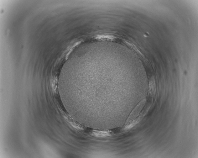 X0000087520671200705041214