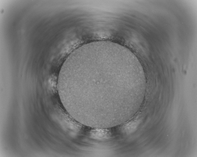 X0000087520672200705041214