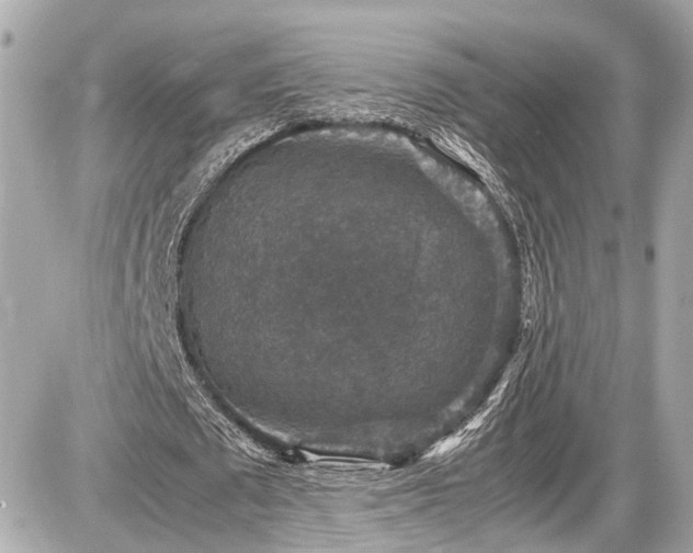 X0000087520673200705041213