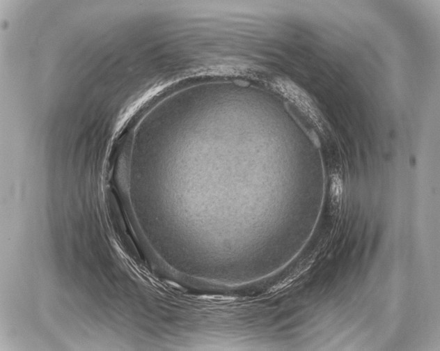 X0000087520676200705041213