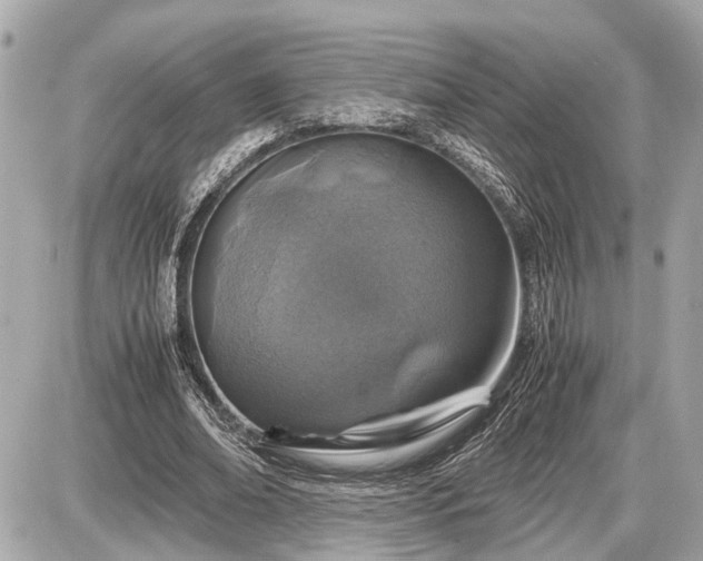 X0000087520678200705041213