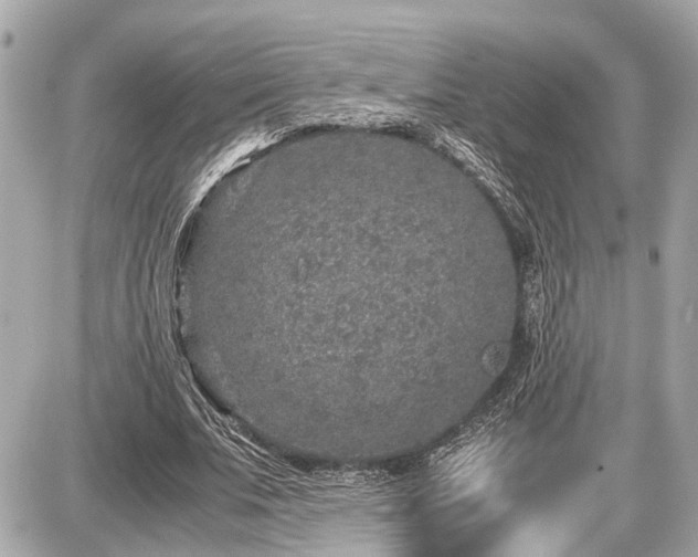 X0000087520679200705041213