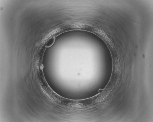 X0000087520683200705041213