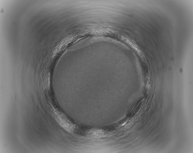 X0000087520685200705041213