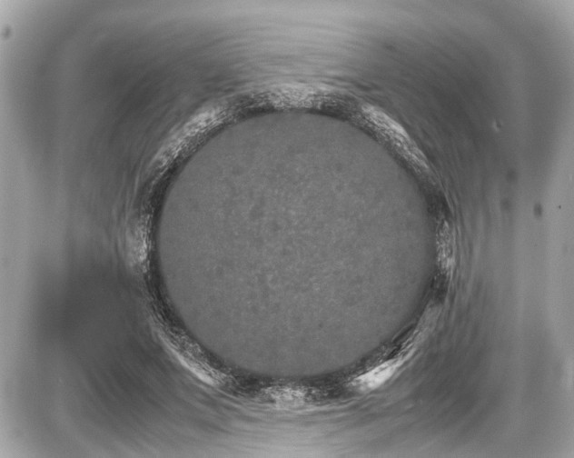 X0000087520687200705041213