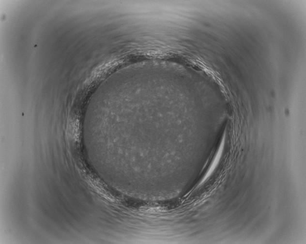 X0000087520689200705041213