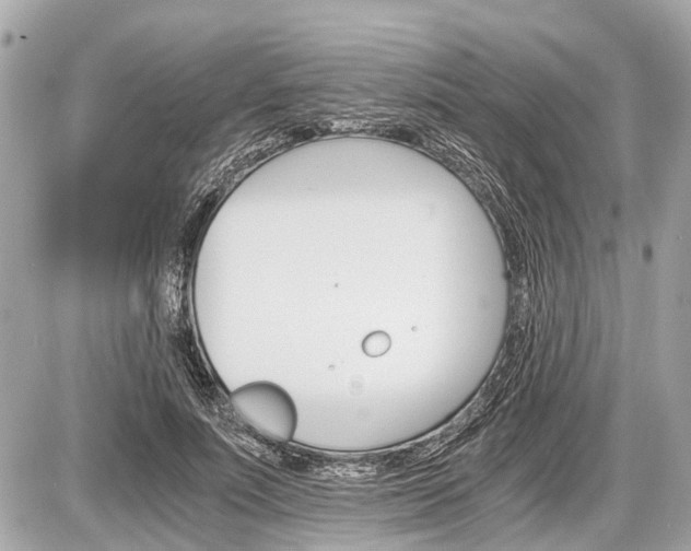 X0000087520691200705041213