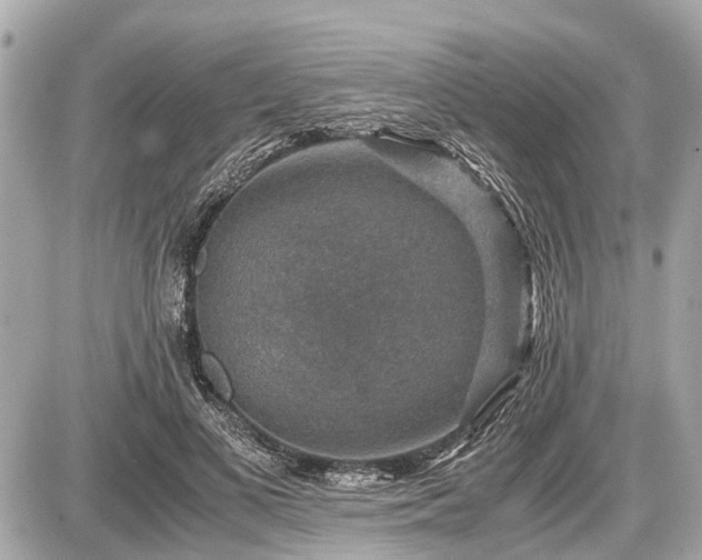 X0000087520693200705041213