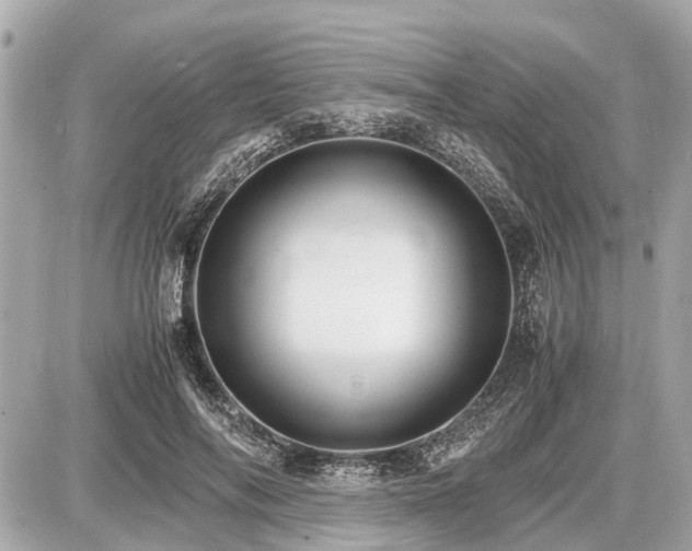 X0000087520694200705041213