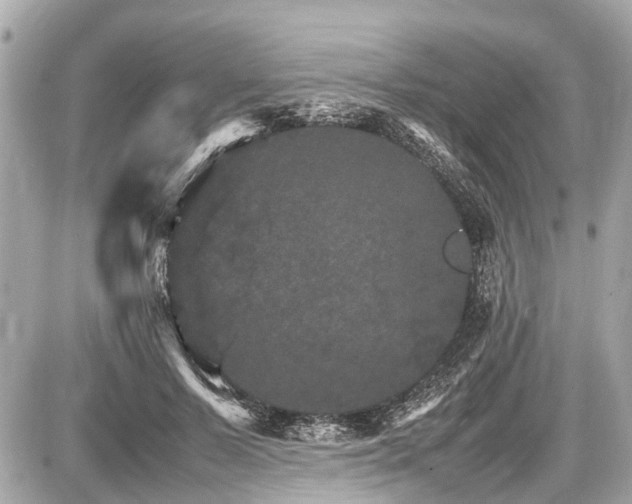 X0000087520695200705041213