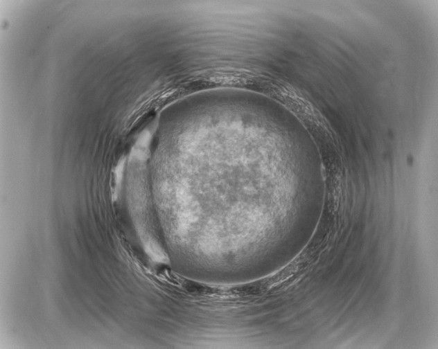 X0000087520696200705041213