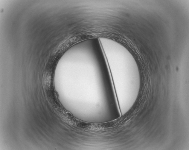 X0000087520697200705041213