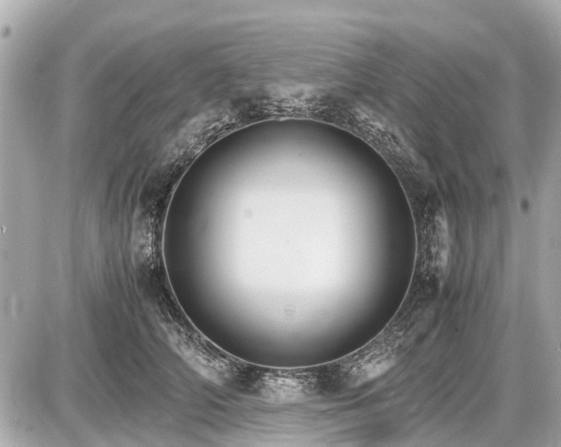 X0000087520706200705041213