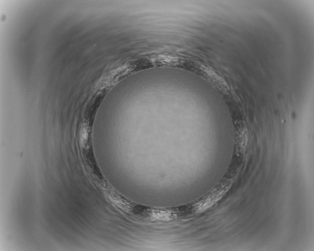 X0000087520709200705041213