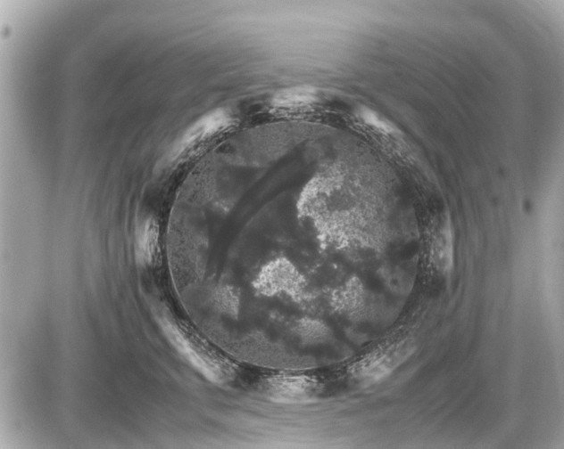 X0000087520711200705041213