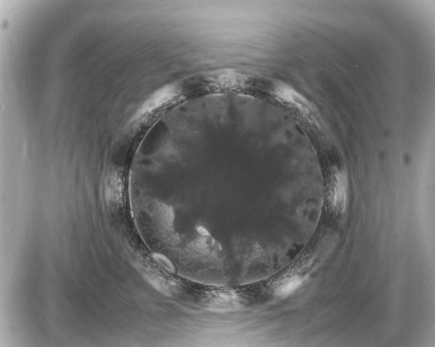 X0000087520715200705041212