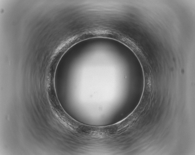 X0000087520732200705041212