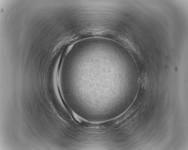 X0000087520740200705041212