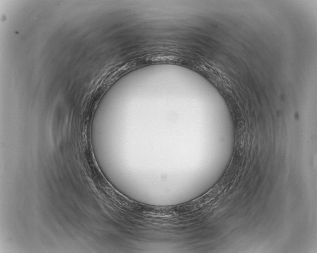 X0000087520743200705041212