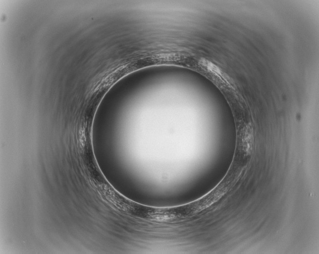 X0000087520746200705041212