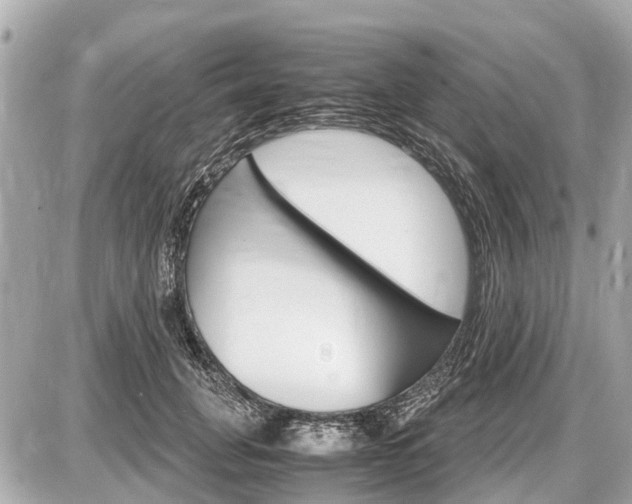 X0000087520751200705041212