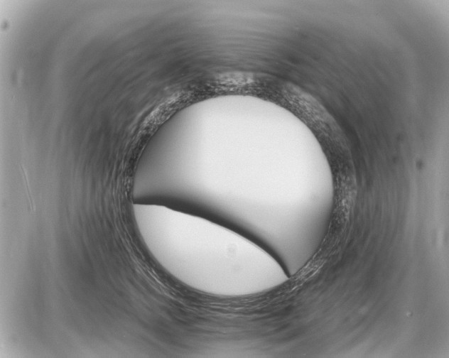 X0000087520758200705041212