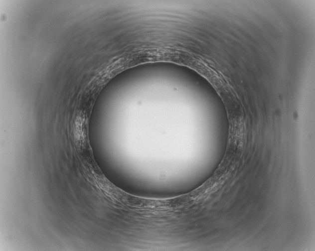 X0000087520770200705041212