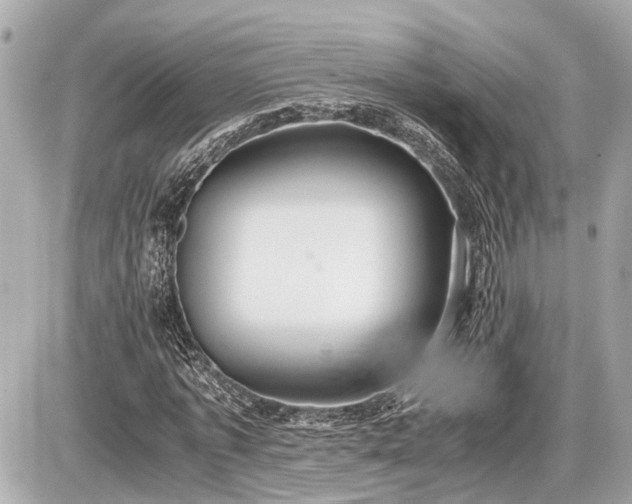 X0000087520773200705041212