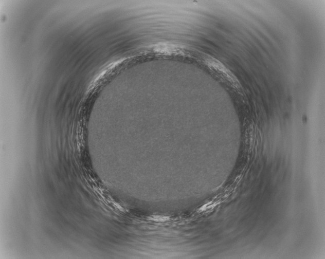 X0000087520776200705041211