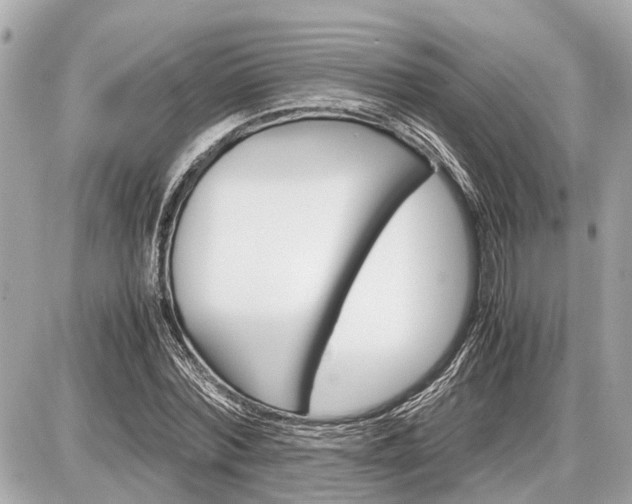 X0000087520780200705041211