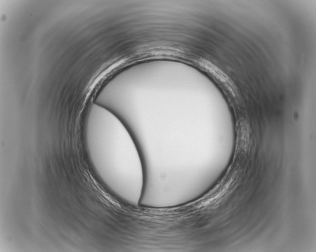 X0000087520782200705041211