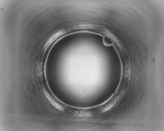 X0000087520786200705041211