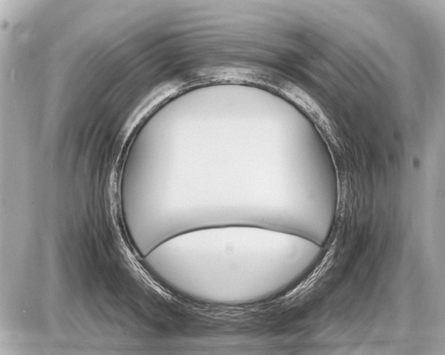 X0000087520798200705041211