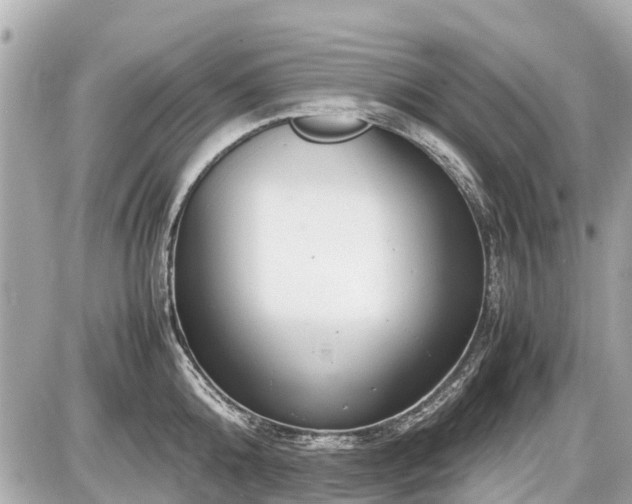 X0000087520808200705041211