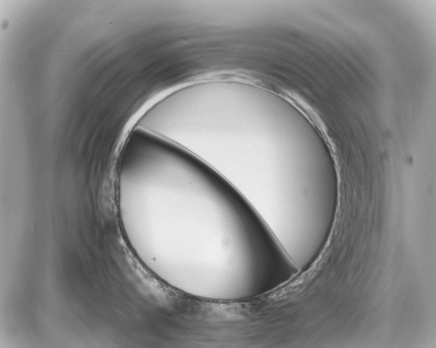X0000087520816200705041211
