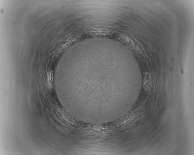 X0000087520866200705041210