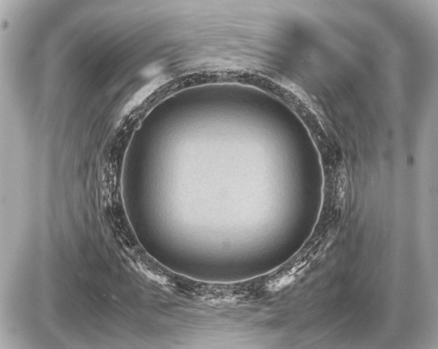 X0000087520871200705041210