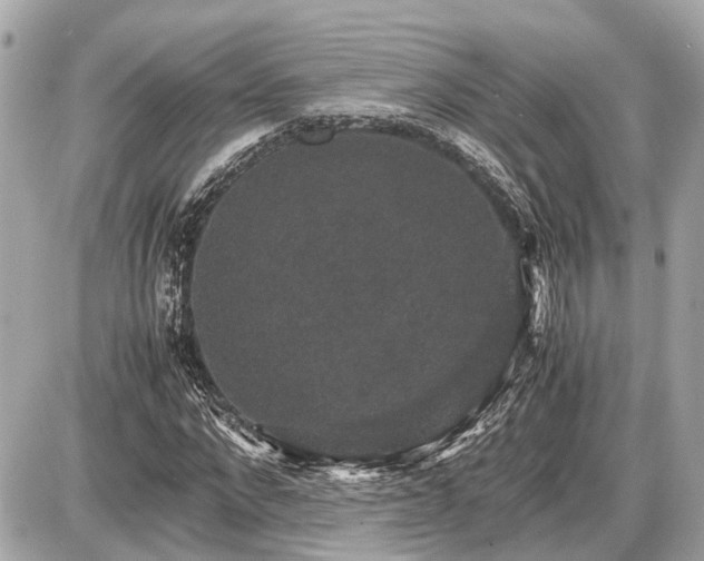X0000087520872200705041210
