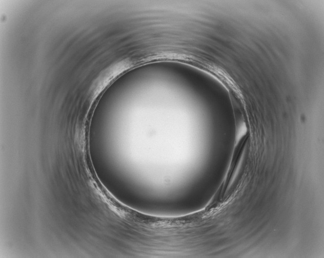 X0000087520898200705041209