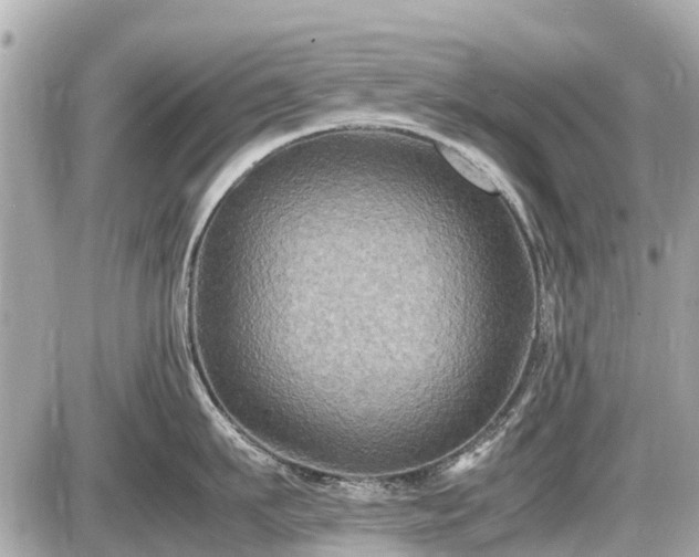 X0000087520911200705041209