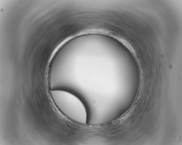 X0000087520912200705041209