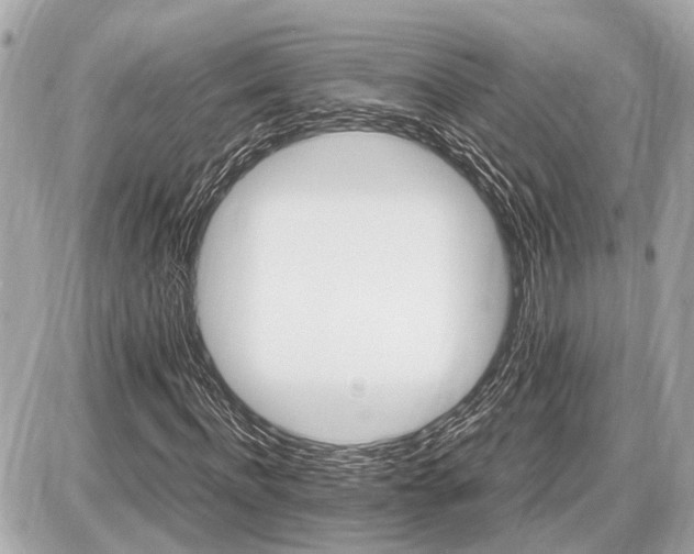 X0000087520916200705041208
