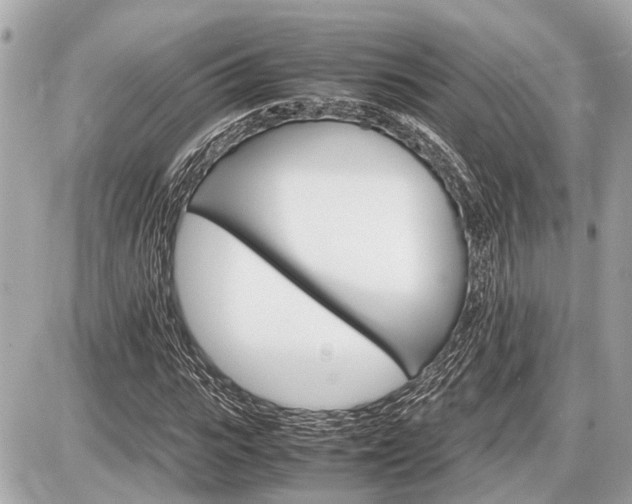 X0000087520919200705041209