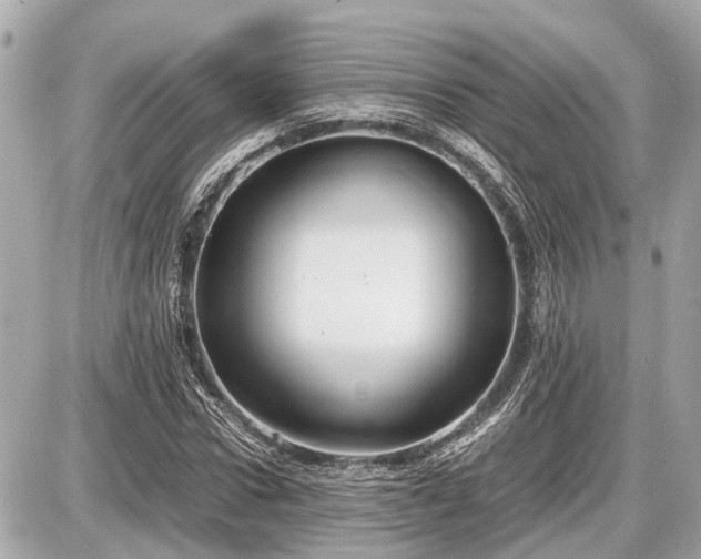 X0000087520922200705041209